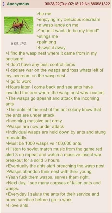 ants vs wasps.jpg